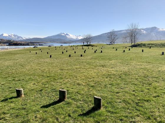 Grøn mark med stubbar/stokkar som stikk ut av plenen, spreidd utover marka. Lenger bak ser ein fleire tre og fjell og blå himmel