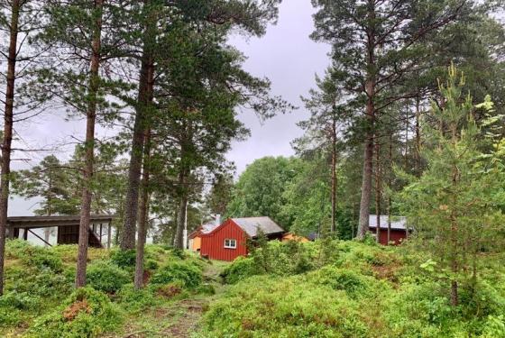 Kleiva, heimen til Hans Hyldbakk, ligg idyllisk til over Surnadal sentrum. Foto: Åsta Vadset, IKAMR.