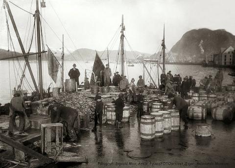 Gammalt svart kvitt bilde - sildefiske - tønner - folk - båtar - Ålesund